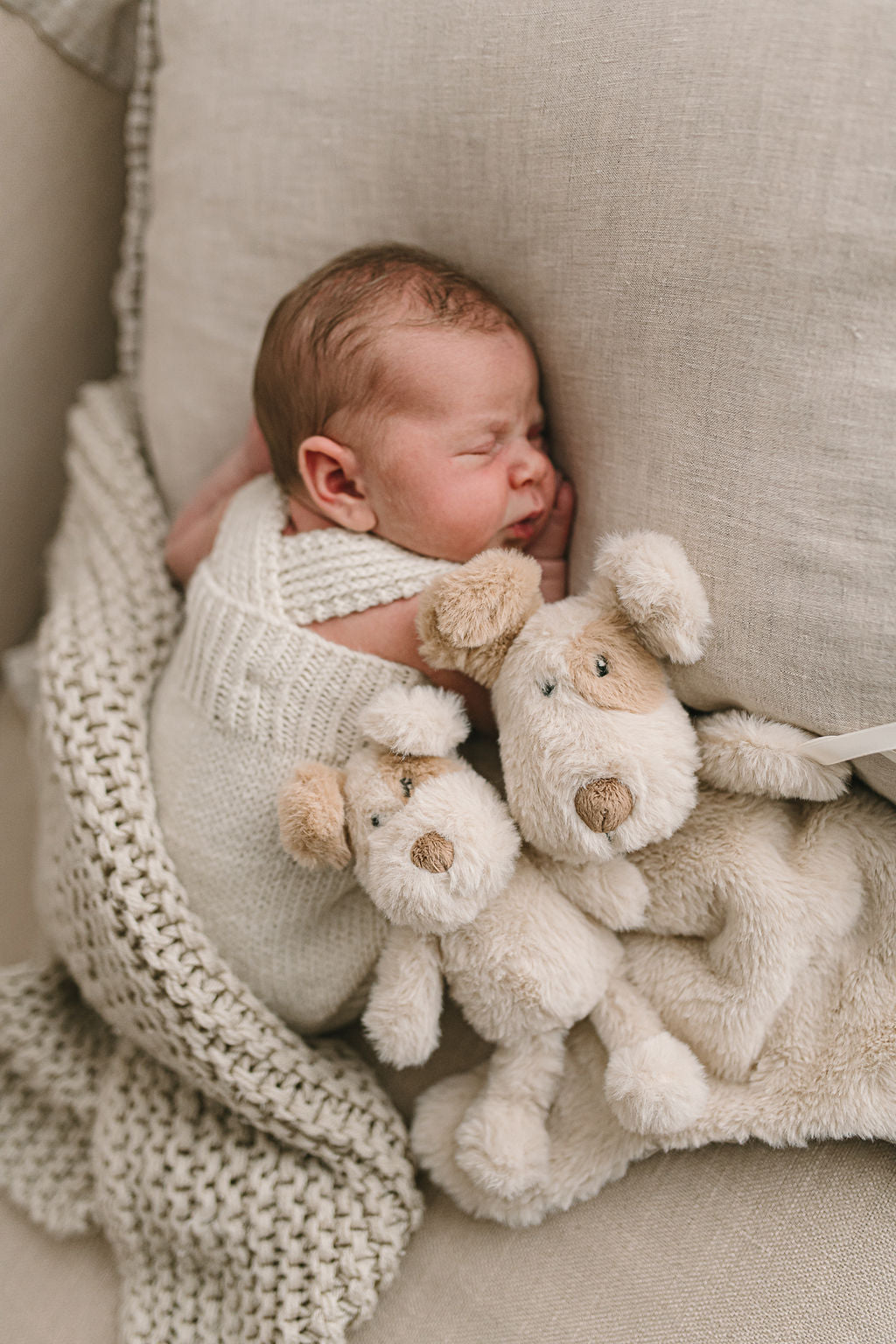 Buddy the Dog Rattle Toy - Cute Puppy Teether for Babies & Toddlers - Perfect for Early Learning, Sensory Play and Soothing Teething Pain