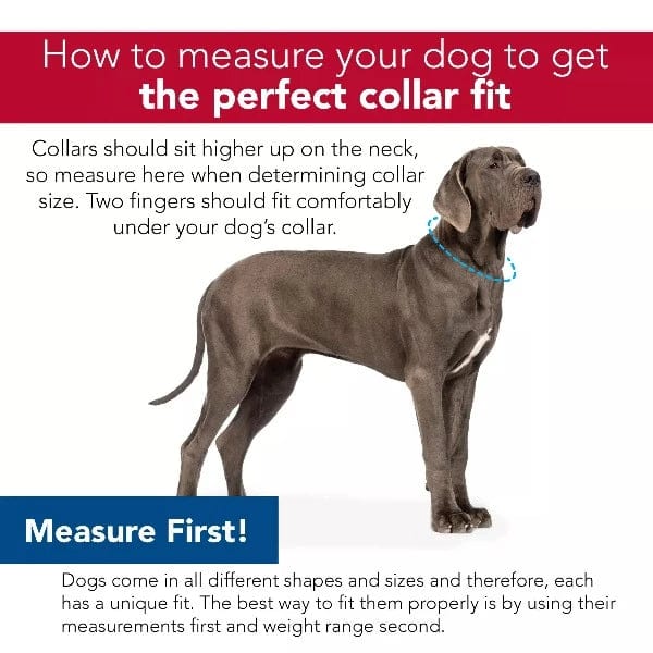 Premium Coastal Accent Microfiber Dog Collar - Soft & Durable Pet Collar for Small & Medium Dogs - Perfect for Beach Walks, Outdoor Adventures & Everyday Wear