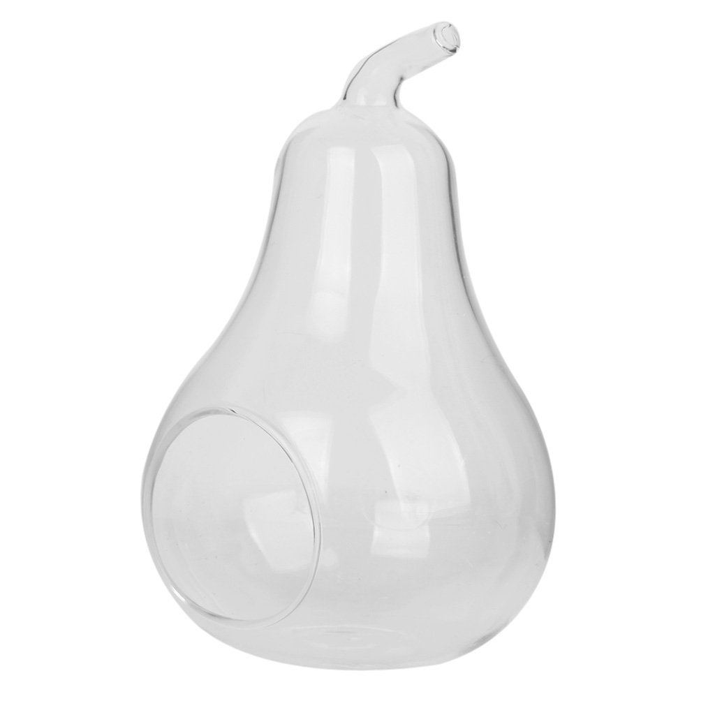 Pear Shaped Glass Hanging Vase - Elegant Plant Flower Decor for Home, Wedding, Garden & Office | Handmade Clear Glass Bottle for Air Plants, Succulents & Fresh Cut Flowers