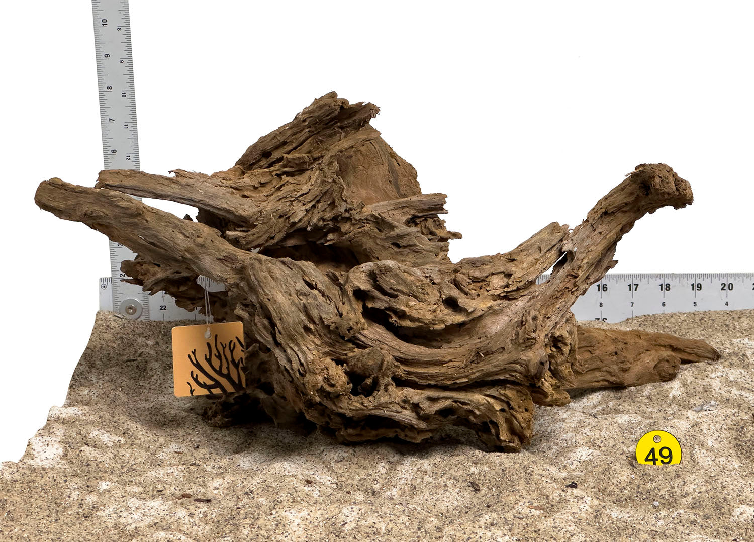 Premium Malaysian Mangrove Wood Logs - Large Size Natural Driftwood for Aquarium Decor, Terrarium, Reptile Habitat & DIY Crafts (WYSIWYG #49Y)