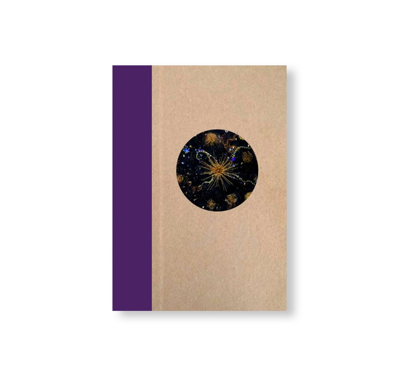 ONE PICTURE BOOK TWO #37: PORTENT by Tanya Marcuse - Art Photography Book for Collectors & Enthusiasts - Perfect for Home Decor & Gift Giving