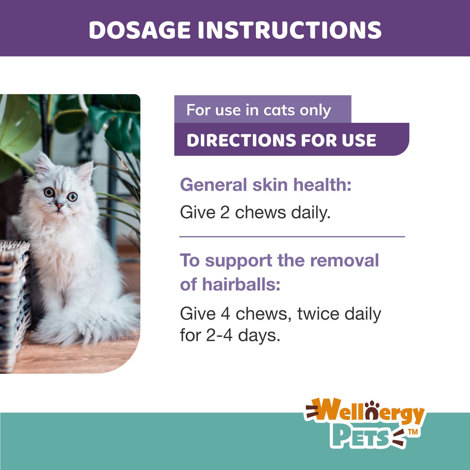 Wellnergy Pets Hairball Control Multivitamin Supplement for Cats & Dogs - Supports Digestion & Healthy Coat - Ideal for Indoor Pets & Long-Haired Breeds