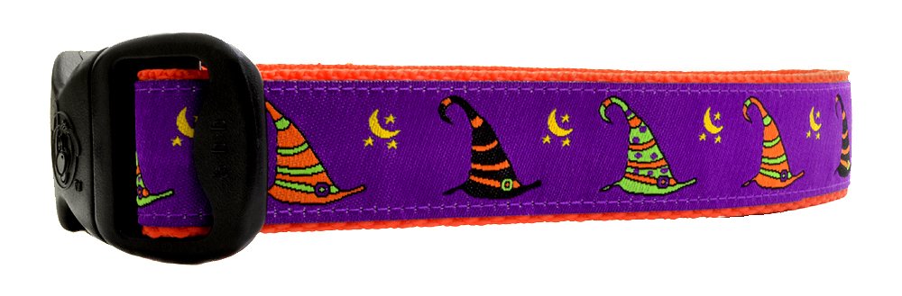 Adjustable 1 Inch Purple Witch Halloween Dog Collar for Medium, Large & X-Large Dogs - 14