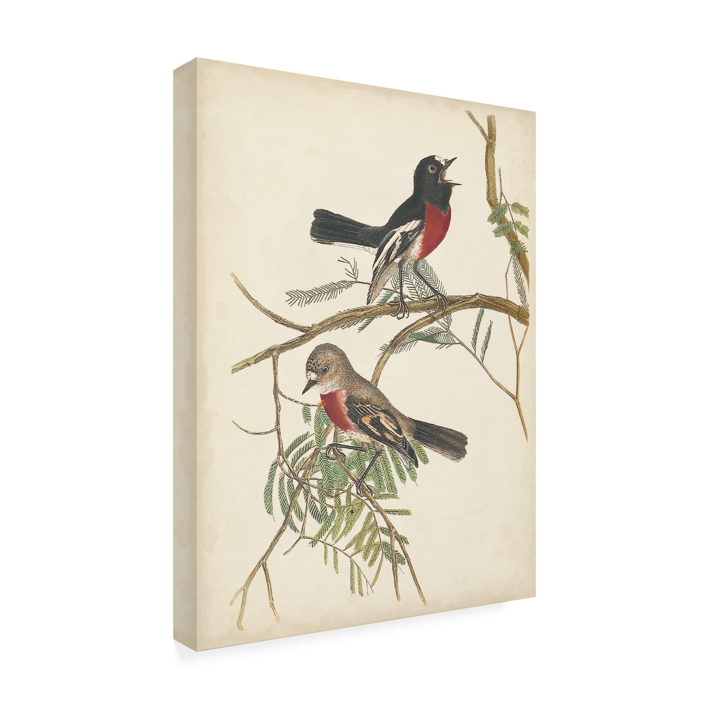 Graceful Birds IV Canvas Wall Art by Vision Studio - Handmade Floral Bird Painting for Home & Office Decor - Perfect for Living Room, Bedroom, or Gift