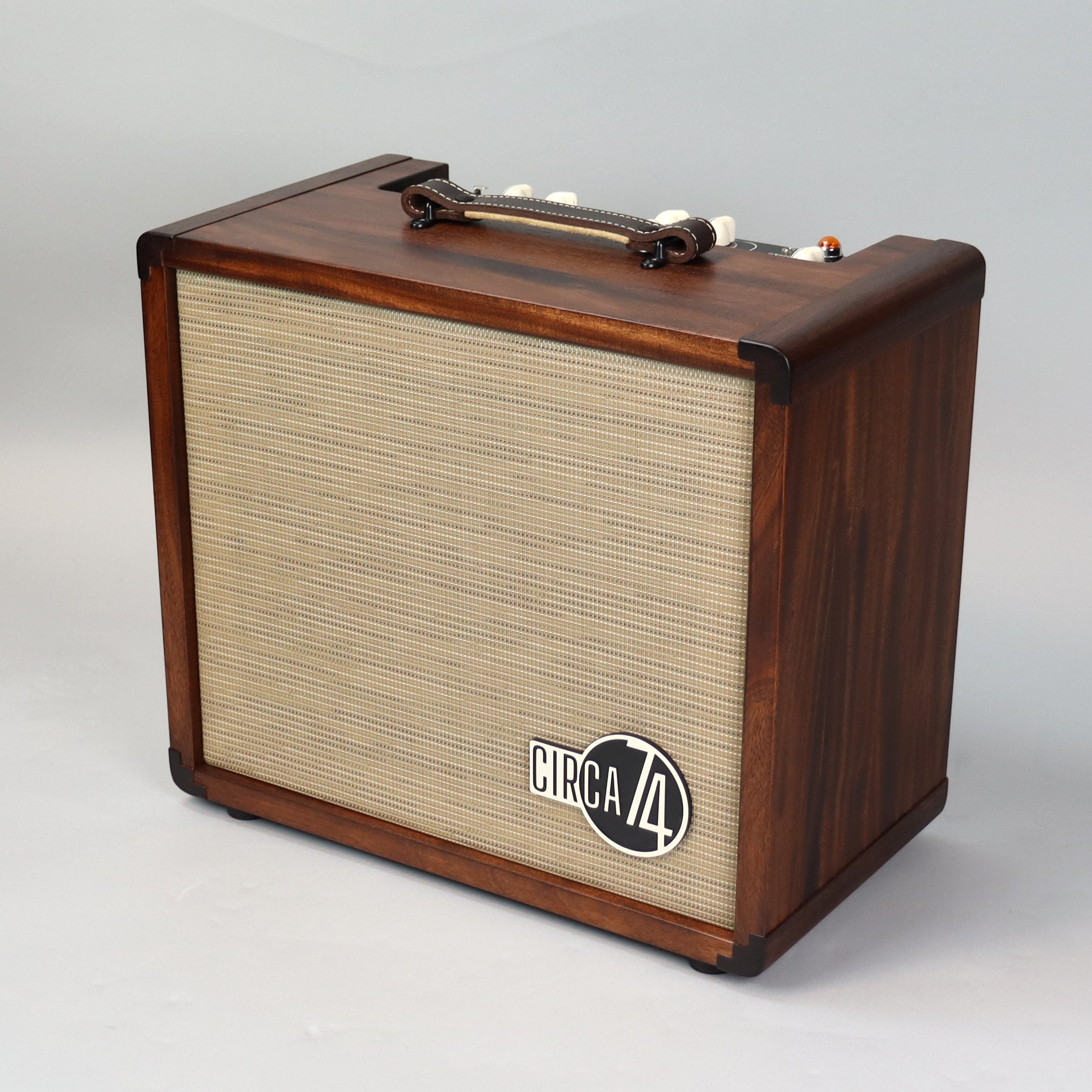 Taylor Circa 74 Acoustic Guitar & Vocal Amplifier with Stand - Perfect for Live Performances, Studio Recording & Home Practice