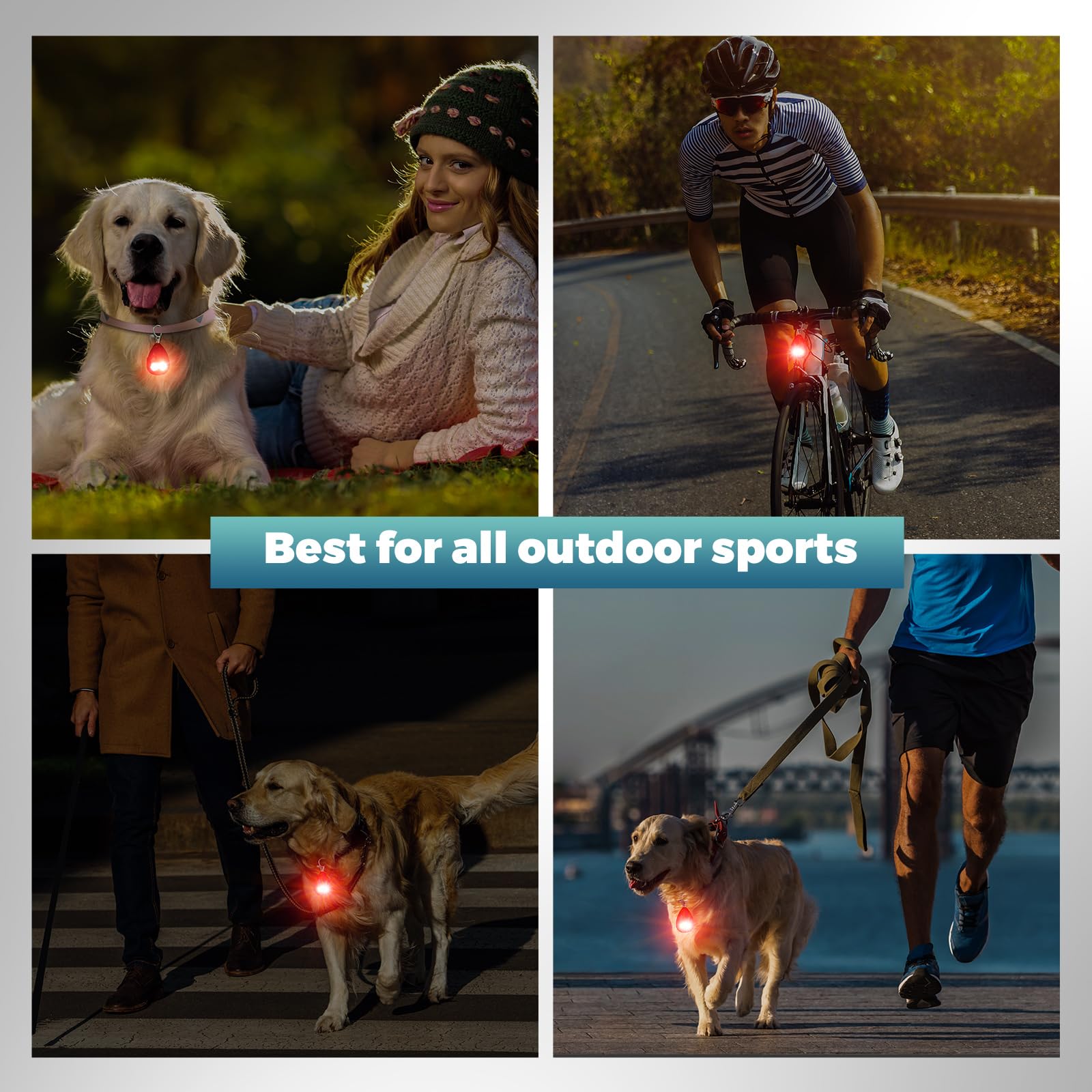 LEIFIDE Rechargeable LED Dog Collar Lights - 4 Pack Waterproof Pet Safety Lights for Night Walking, Running & Camping