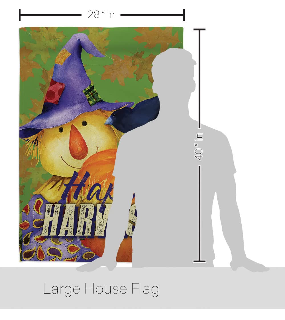 Happy Harvest Scarecrow Flag Set - 28
