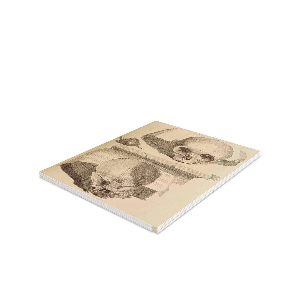Bisected Human Skull Greeting Card Pack - 12 Unique Halloween Cards with Anatomical Design - Perfect for Halloween Parties, Medical Student Gifts & Dark Humor Enthusiasts