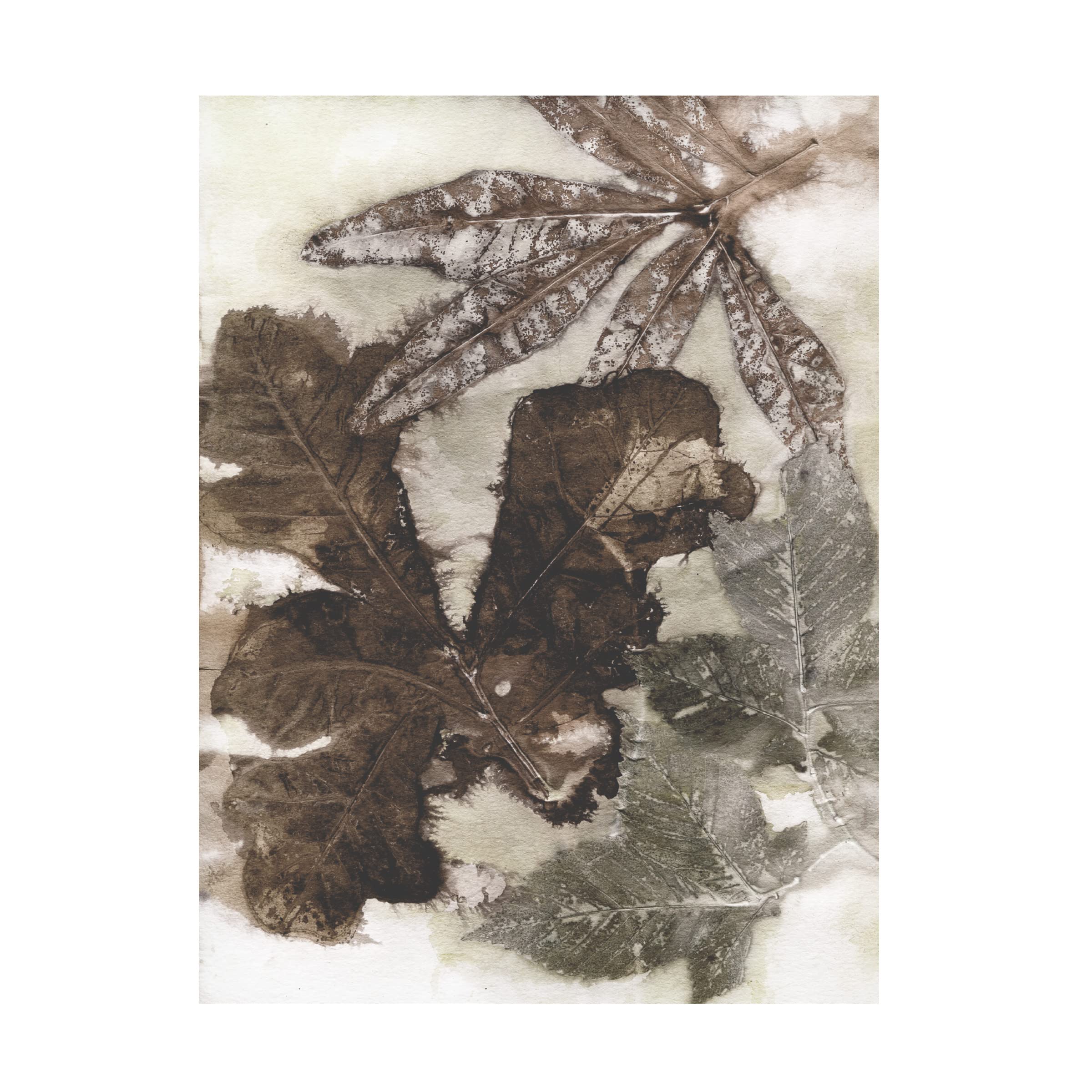 Trademark Fine Art 'Oak Leaves' Canvas Wall Art by Kathryn Phillips - 35x47 Inches, Nature-Inspired Home Decor for Living Room, Bedroom & Office