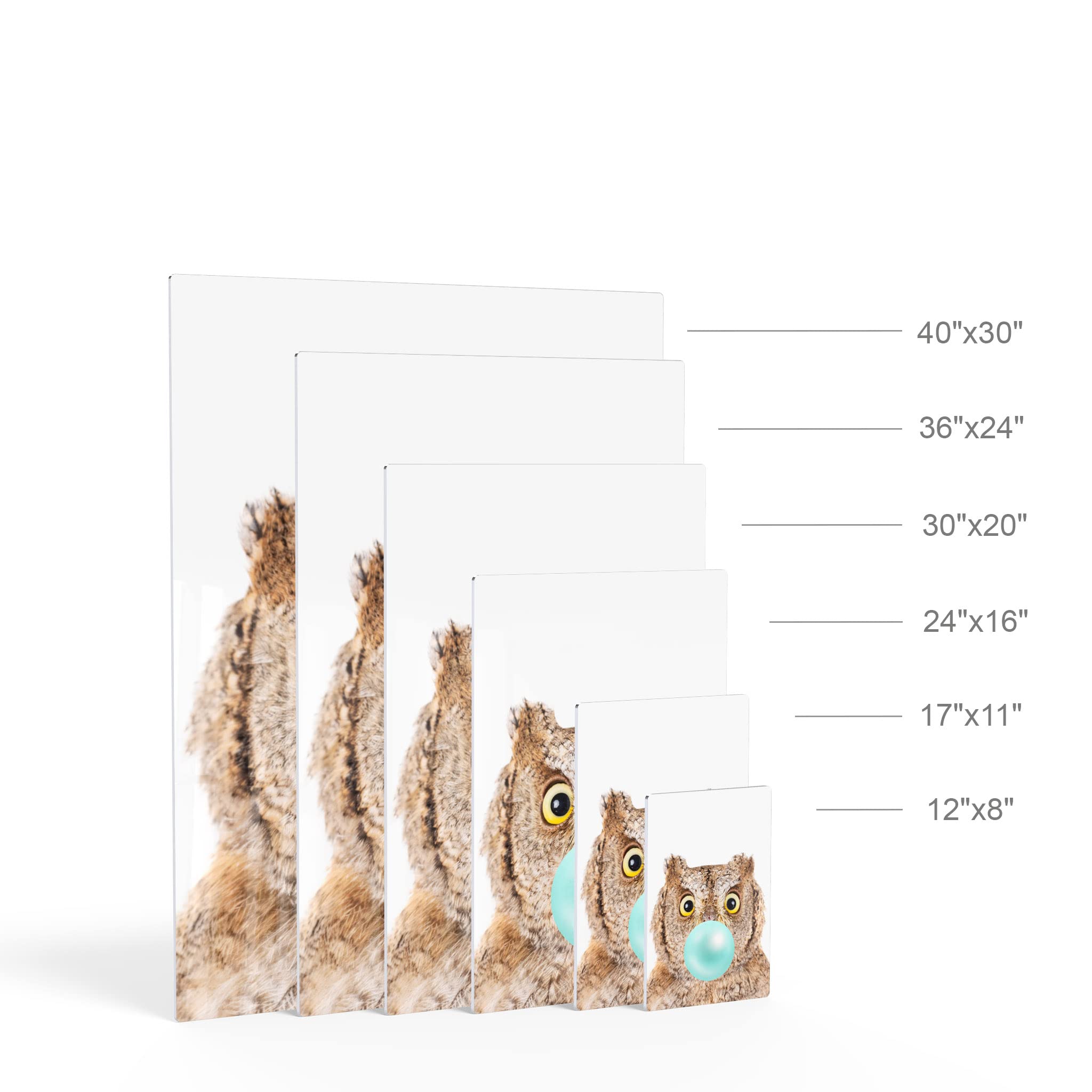Eurasian Scops Owl Chewing Blue Bubble Gum Metal Wall Art Print - 12x8 Inch African Safari Animal Pop Art for Office, Living Room, Bedroom & Nursery Decor | Unique Home & Gift Idea for Animal Lovers
