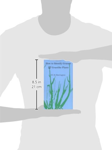 How to Identify Grasses, Sedges and Rushes - Grasslike Plant Identification Guide for Hikers, Gardeners & Botanists
