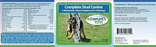 Stud Canine – Premium Vitamin & Mineral Supplement for Stud Dogs (Large Breed Over 25lbs) | Vet-Formulated with 48 Nutrients, Omega Fatty Acids, Amino Acids & Digestive Enzymes | 315g for Optimal Canine Health & Performance | Ideal for Breeding, Recovery & Active Dogs