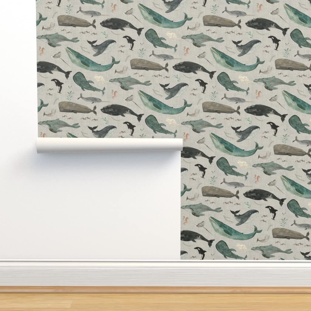 Whale Gray Watercolor Removable Peel & Stick Wallpaper 12ft x 2ft - Humpback Whales Ocean Design by Spoonflower | Perfect for Nursery, Bedroom, and Home Office Decor