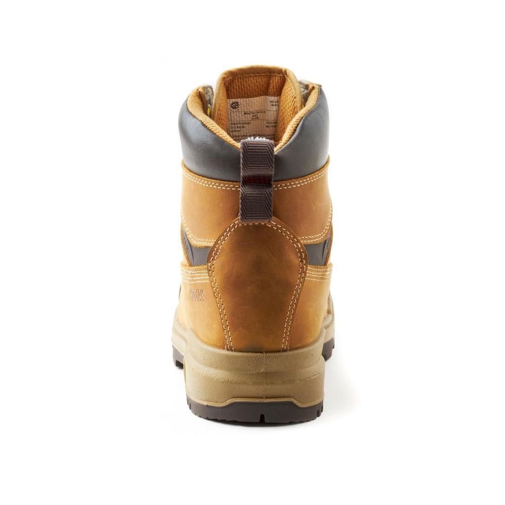 ProWorker MASTER Men's 6