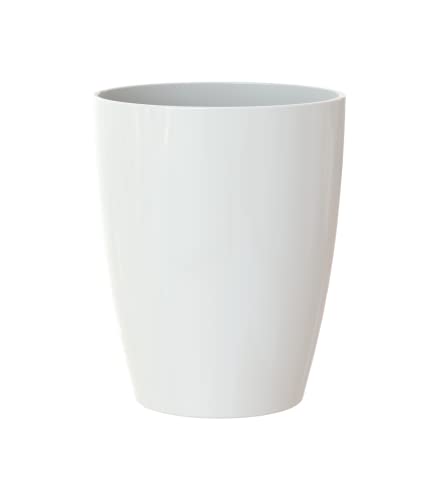 White , White