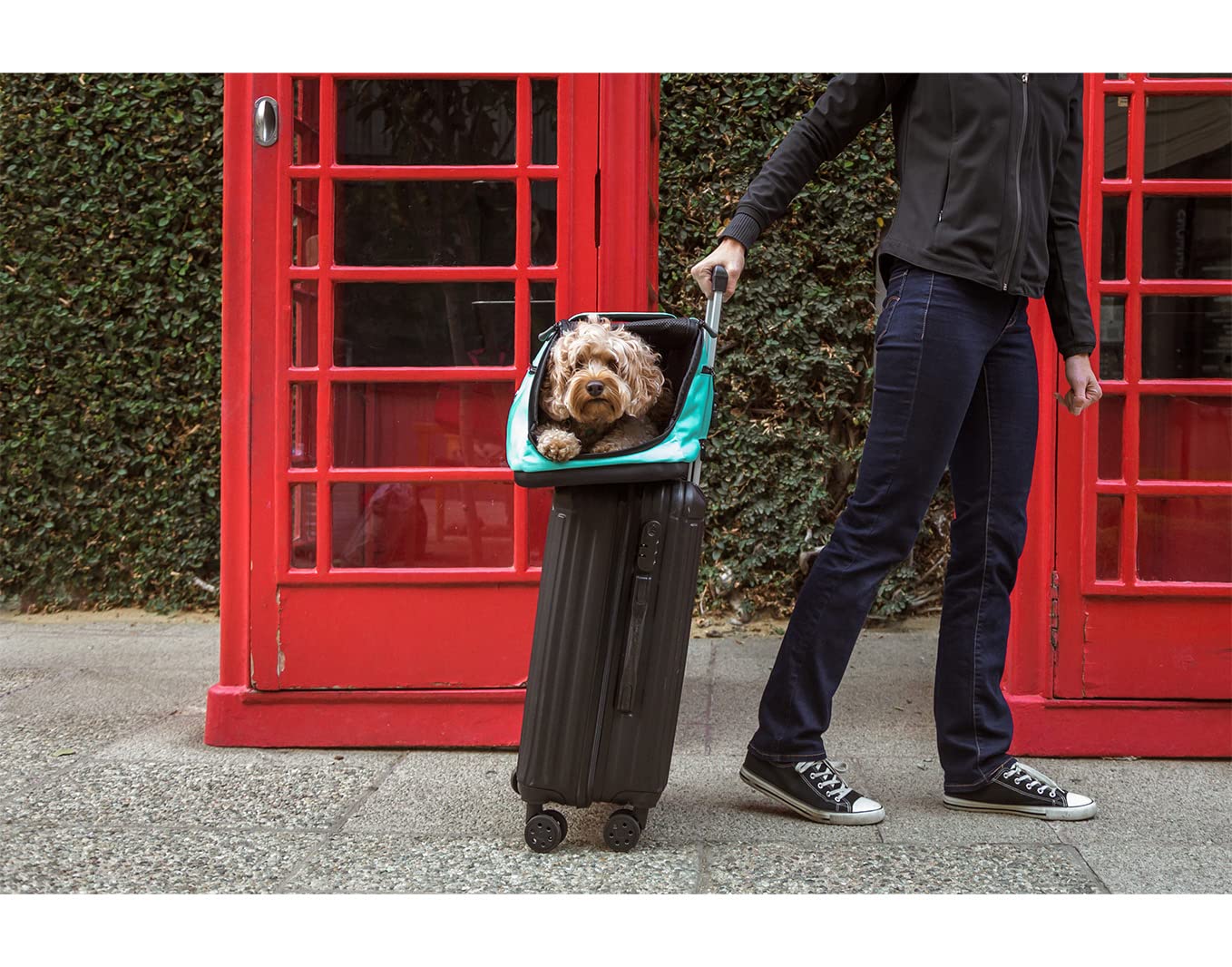 Sleepypod Air - FAA Approved Pet Carrier for Cats & Dogs | Lightweight & Durable Travel Carrier for Airlines (Glacier Silver) | Perfect for Air Travel, Road Trips & Vet Visits