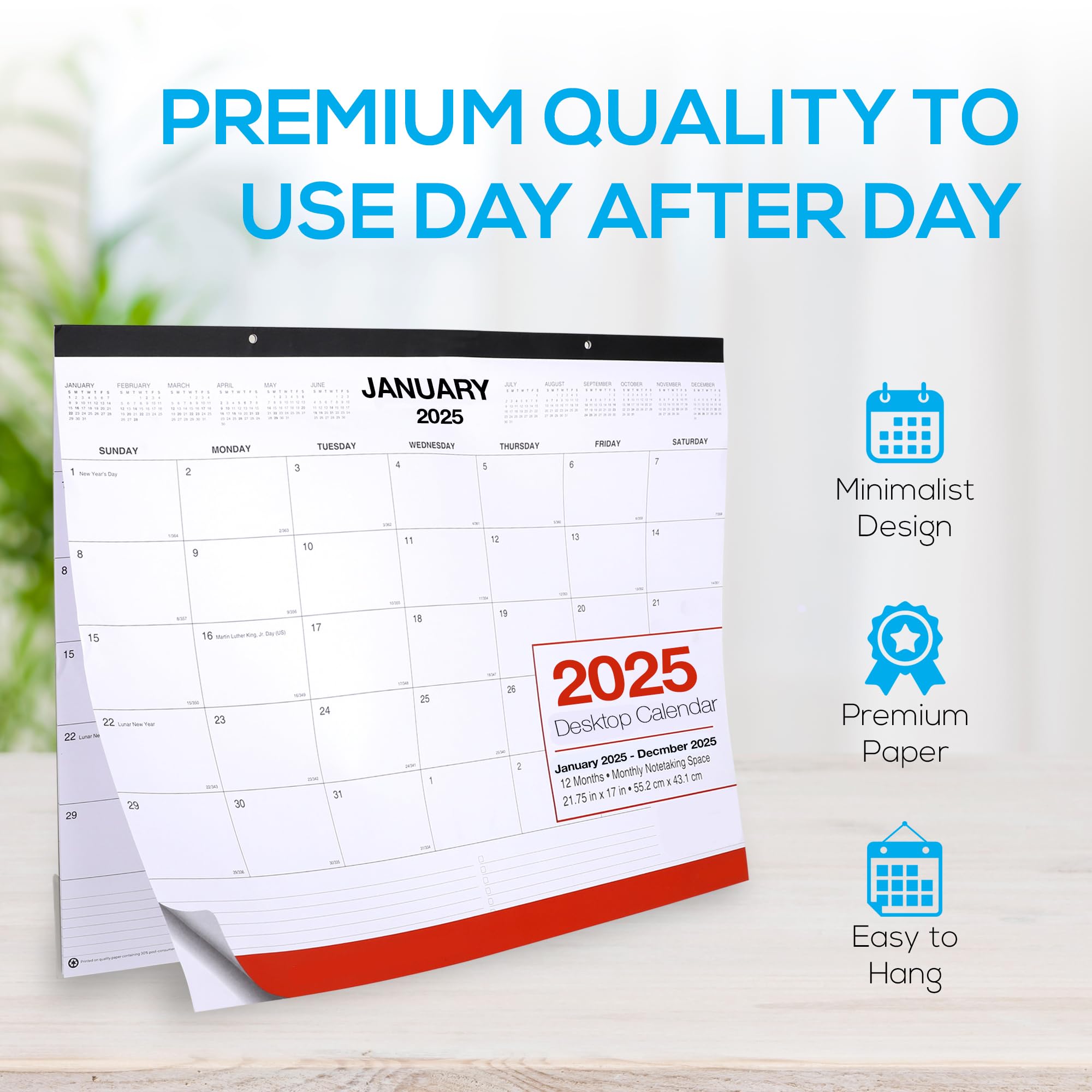 2025 Extra Large Wall Calendar - 22