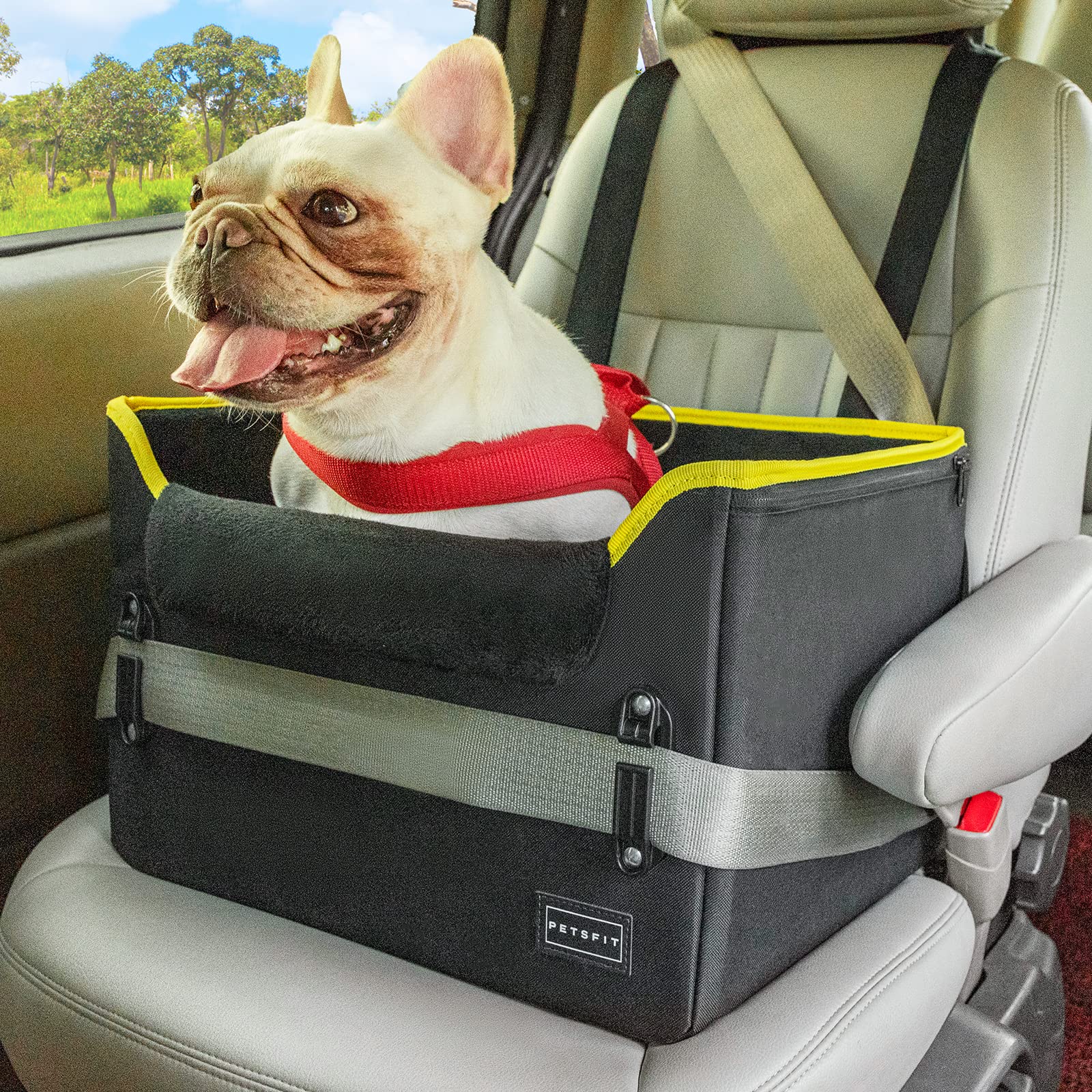 PETSFIT Small Dog Car Seat - Portable Pet Carrier with Secure Buckles & Clip-On Leash for Small Dogs Under 25lbs (Black) - Perfect for Road Trips & Safe Car Travel with Your Pet