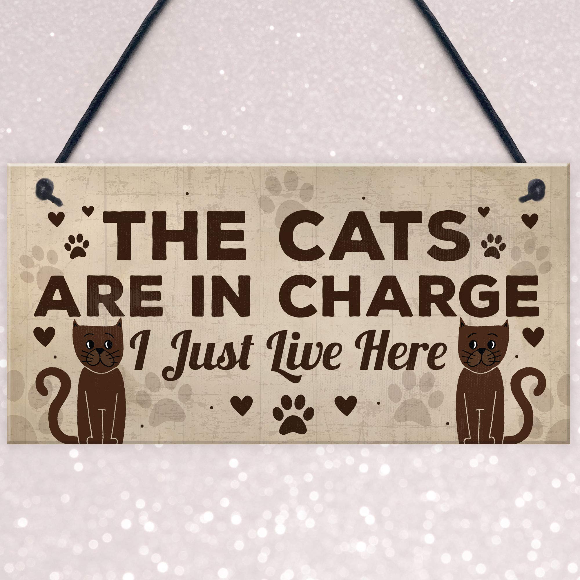 Funny Cat Gifts for Women - RED OCEAN Cat Lover Home Decor Plaque with Humorous Animal Sign - Unique Pet Novelty Gift for Birthday, Housewarming & Cat Themed Decor