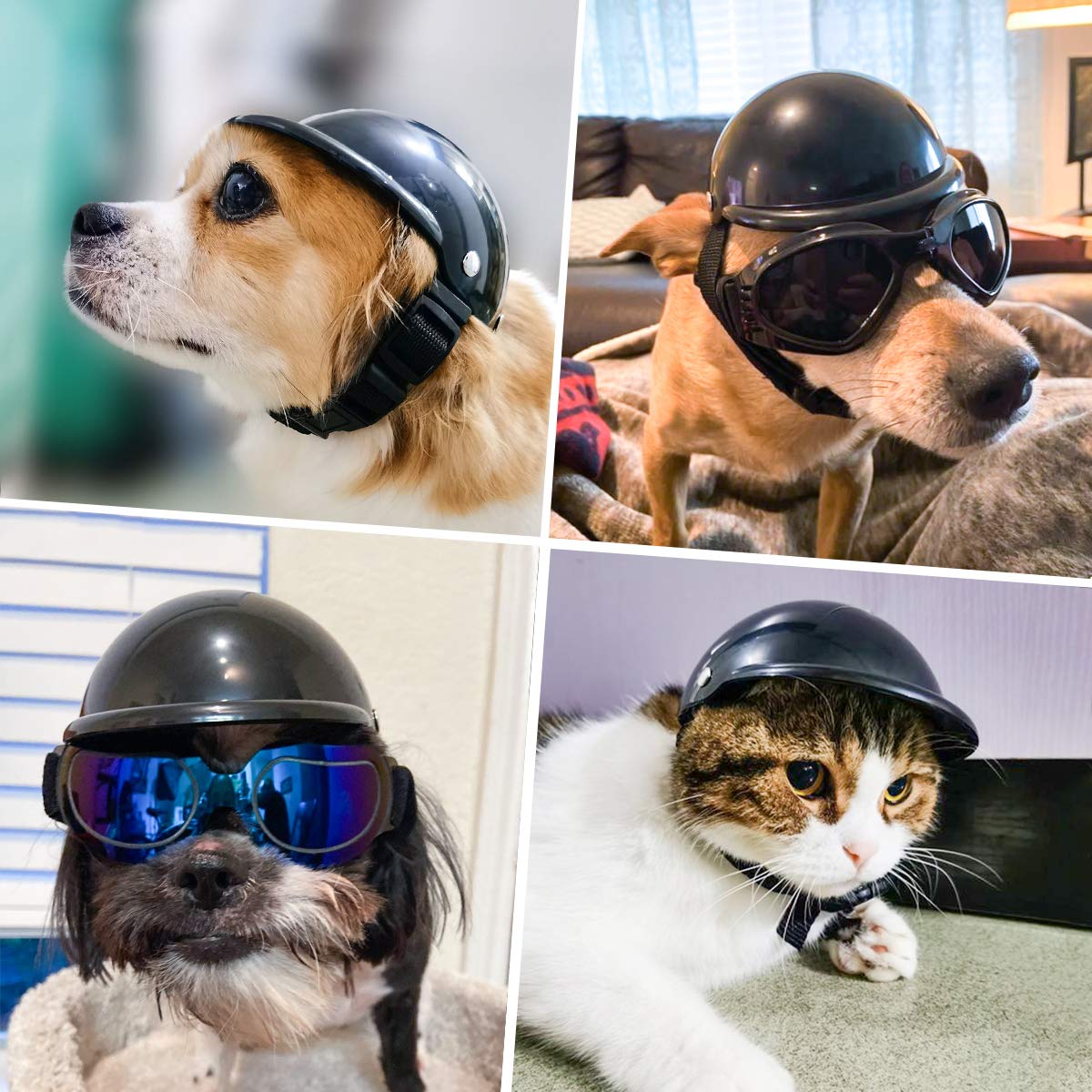 Small Dog Helmet - Adjustable Puppy Crash Helmet for Motorcycle & Bike Riding Safety - Black