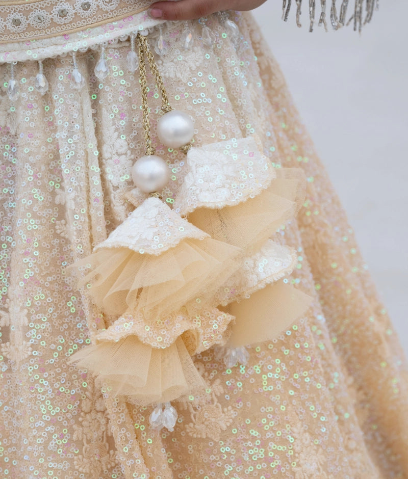 Pre Order: Beige Ombre Lehenga Choli Set for Women – Indian Wedding Outfit, Festive Ethnic Dress for Bridal, Sangeet & Cultural Events