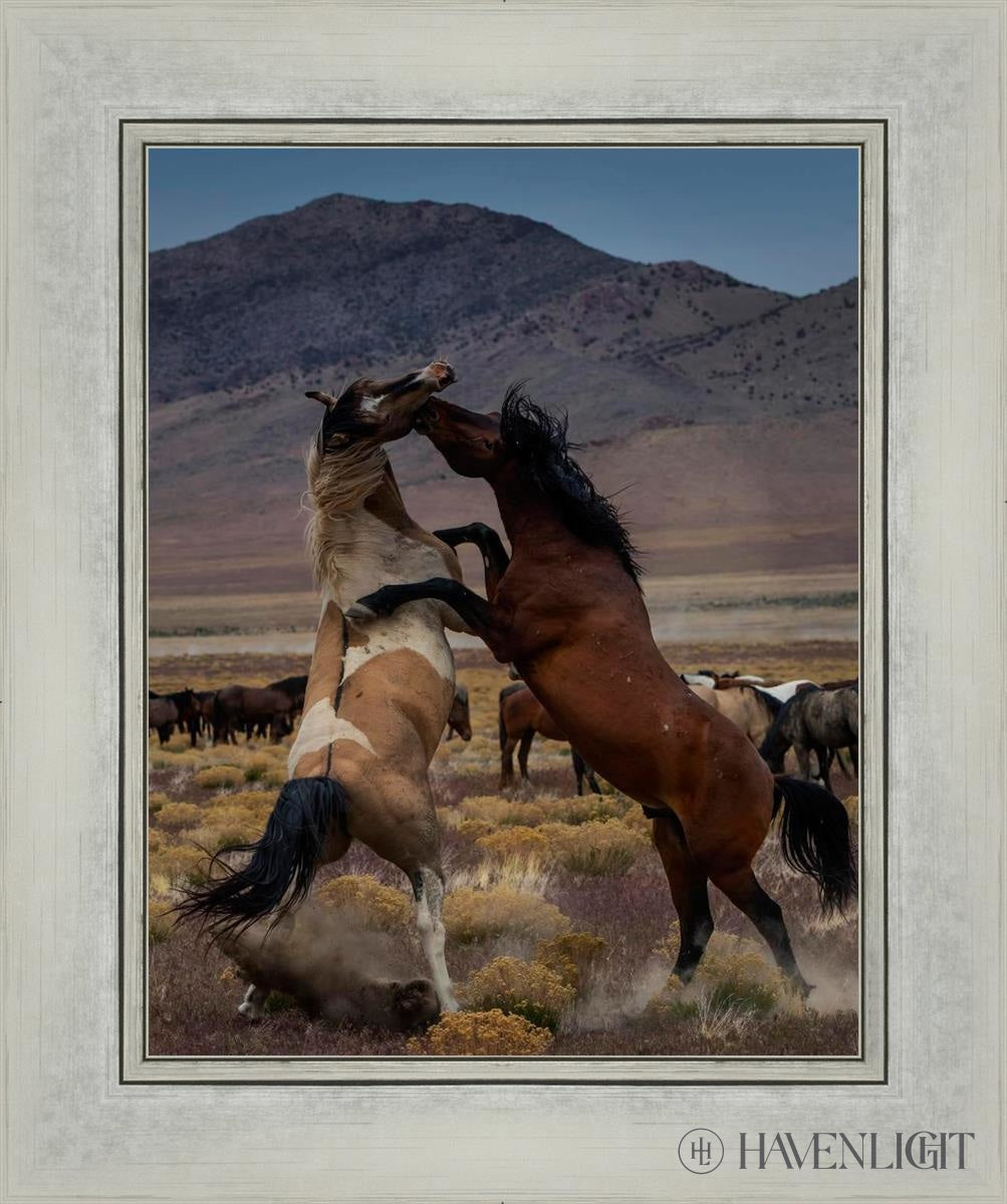 Desert Duel 1 by Greg Sargent - Western Adventure Novel for Adults | Perfect for Book Clubs, Gifts & Western Fiction Fans
