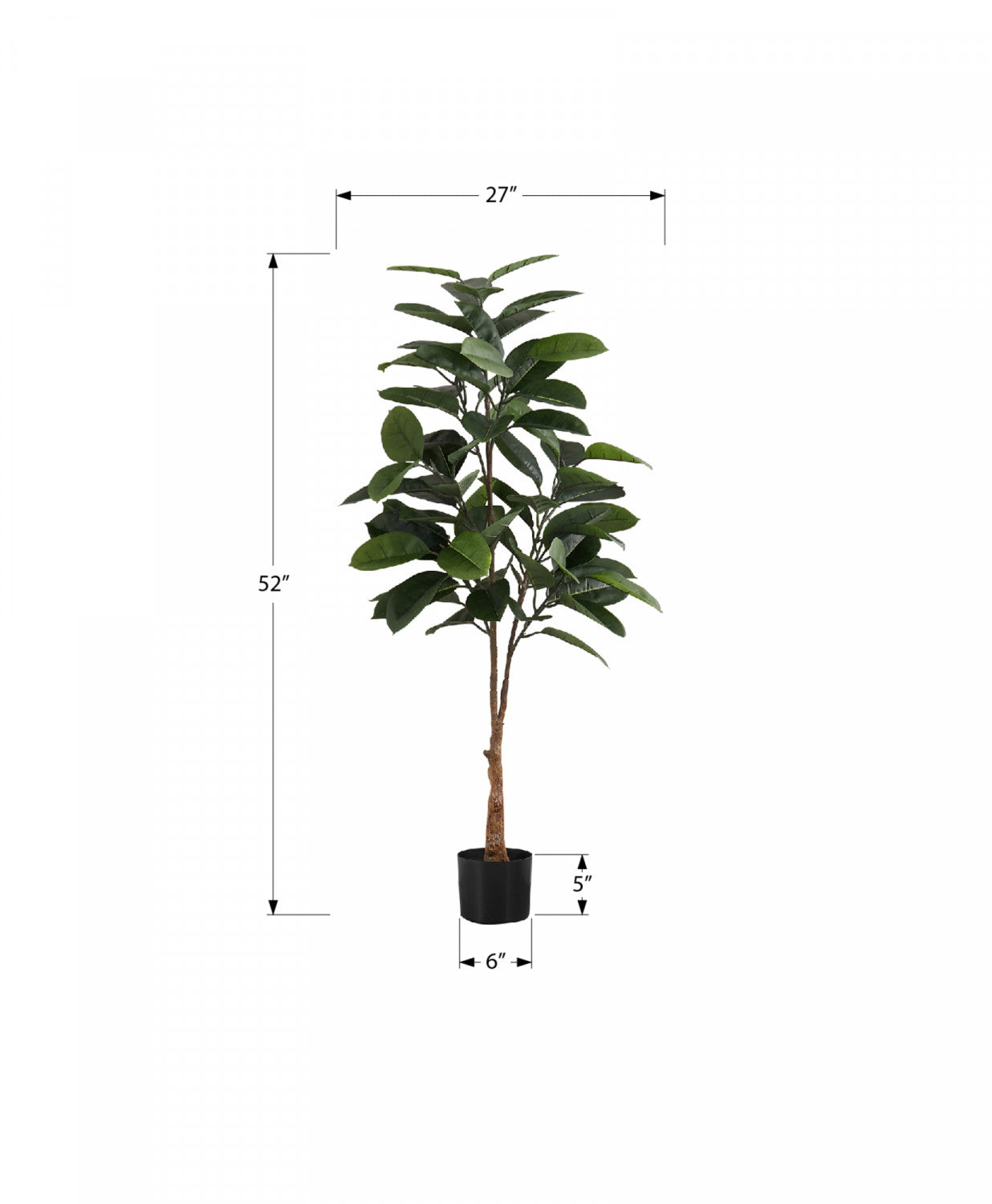 52 Rubber Tree Plants with 5 Black Pots - Indoor Houseplants for Home Decor, Office, and Living Room Greenery