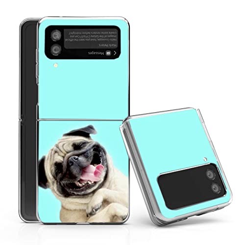 Funny Pug Dog Pattern