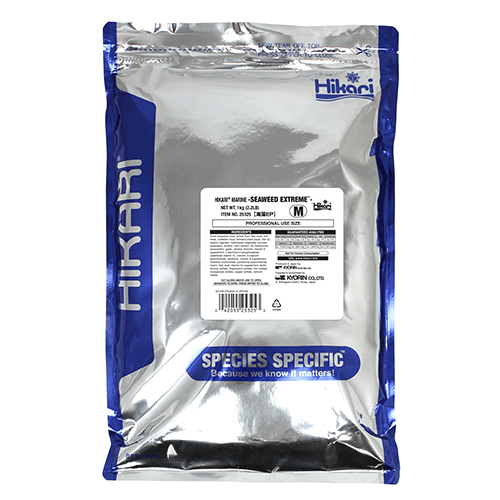 Premium Hikari Seaweed Extreme Pellet Fish Food - Nutrient-Rich Algae Diet for Saltwater & Reef Aquariums - Ideal for Tangs, Angelfish & Herbivorous Marine Fish
