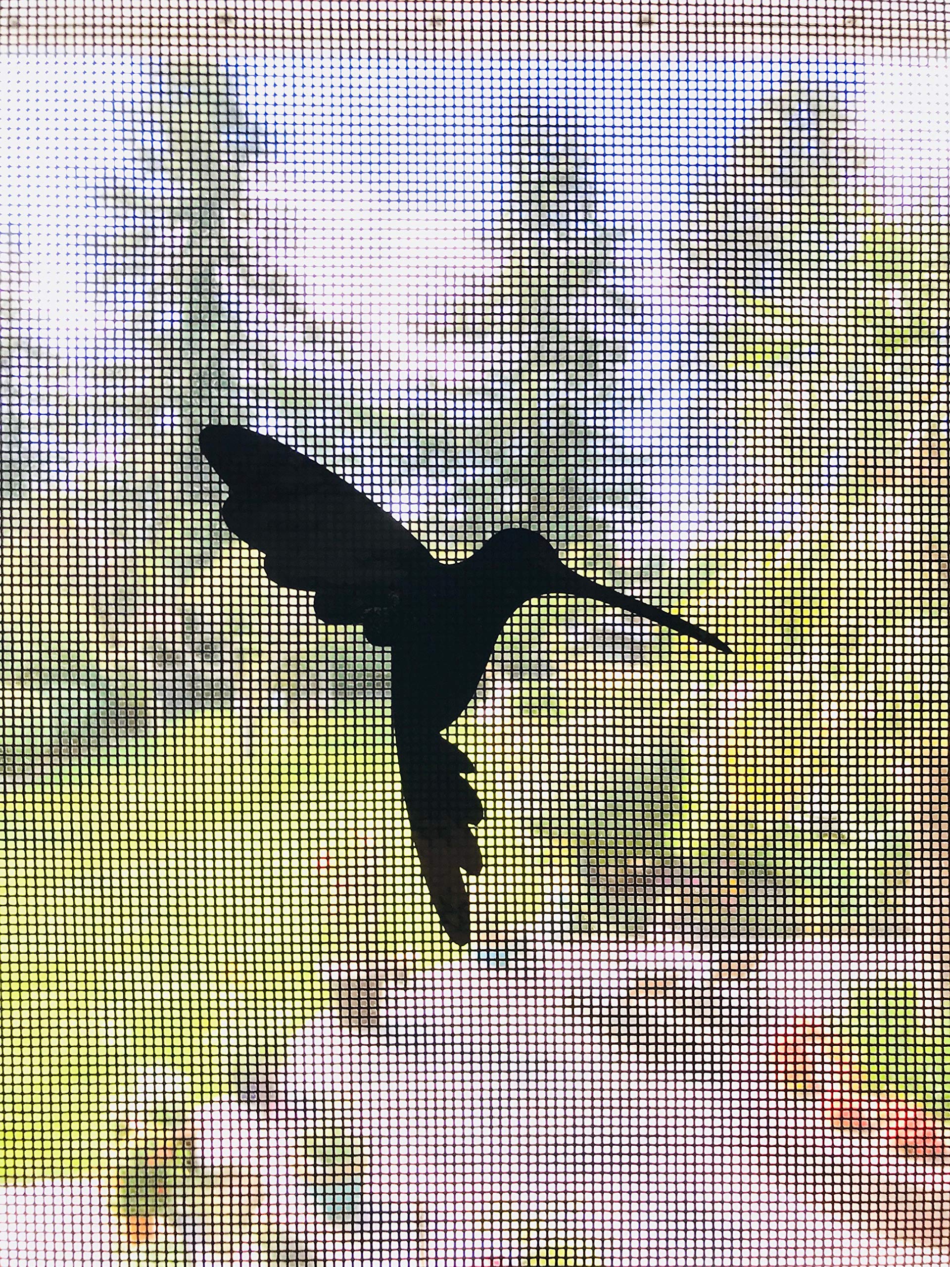 Retractable Screen Door Decals - 5 Pack Safety Stickers for Windows & Doors - Child & Pet Proof Alert System - Prevent Bird Collisions & Protect Kids - Hummingbird Design (Black) - Perfect for Homes, Schools & Daycares