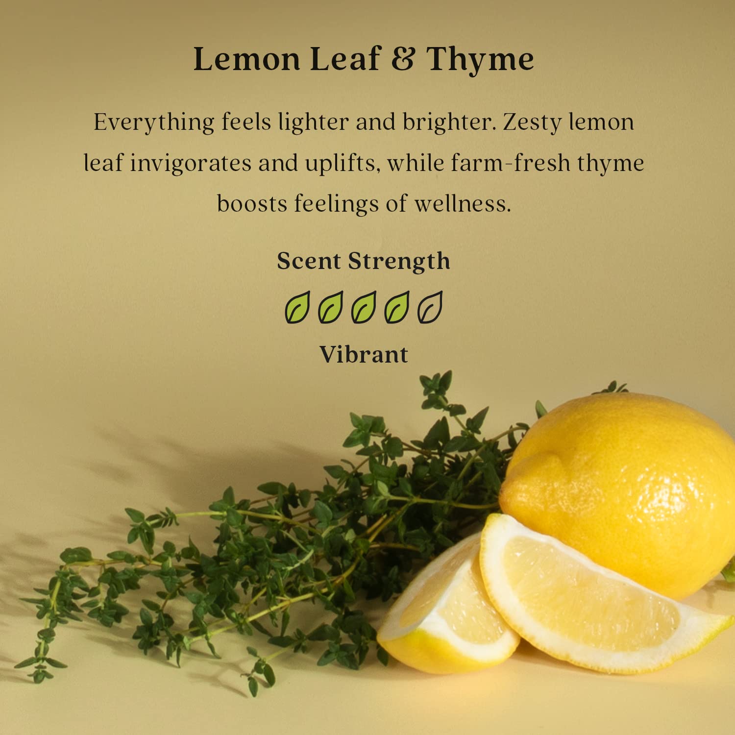Enviroscent Non-Toxic Car Air Freshener - Lemon Leaf & Thyme Scent with Essential Oils | Long-Lasting 30+ Days Fragrance | Includes 1 Refillable Vent Clip & 1 Scent Refill | Perfect for Cars, Trucks & SUVs | Eliminates Odors & Freshens Air Naturally