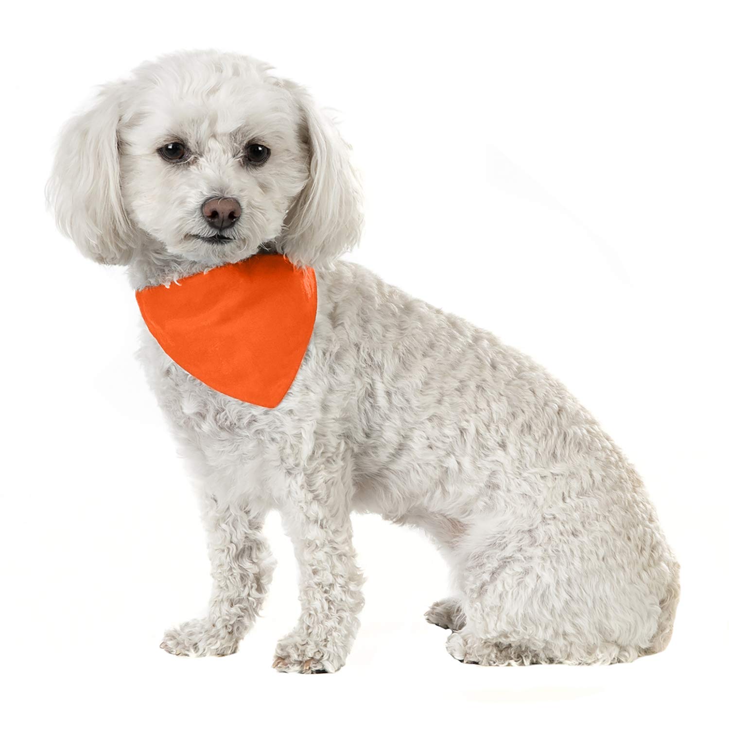 8 Pack Solid Cotton Dog Bandanas - Triangle Bibs for Small & Medium Pets (Orange) - Perfect for Pet Grooming, Photos & Everyday Wear