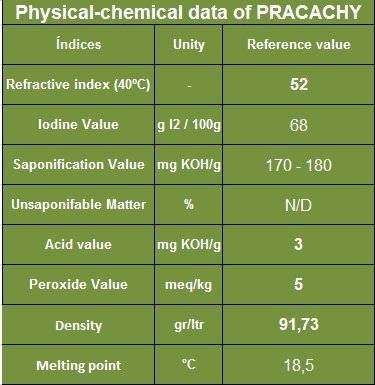 Pure Pracaxi Oil (Pracachy Oil) - 64 Oz (4 lb) - 100% Natural Unrefined Vegetable Oil for Hair Growth, Skin Care & Massage Therapy - Amazon Best Seller