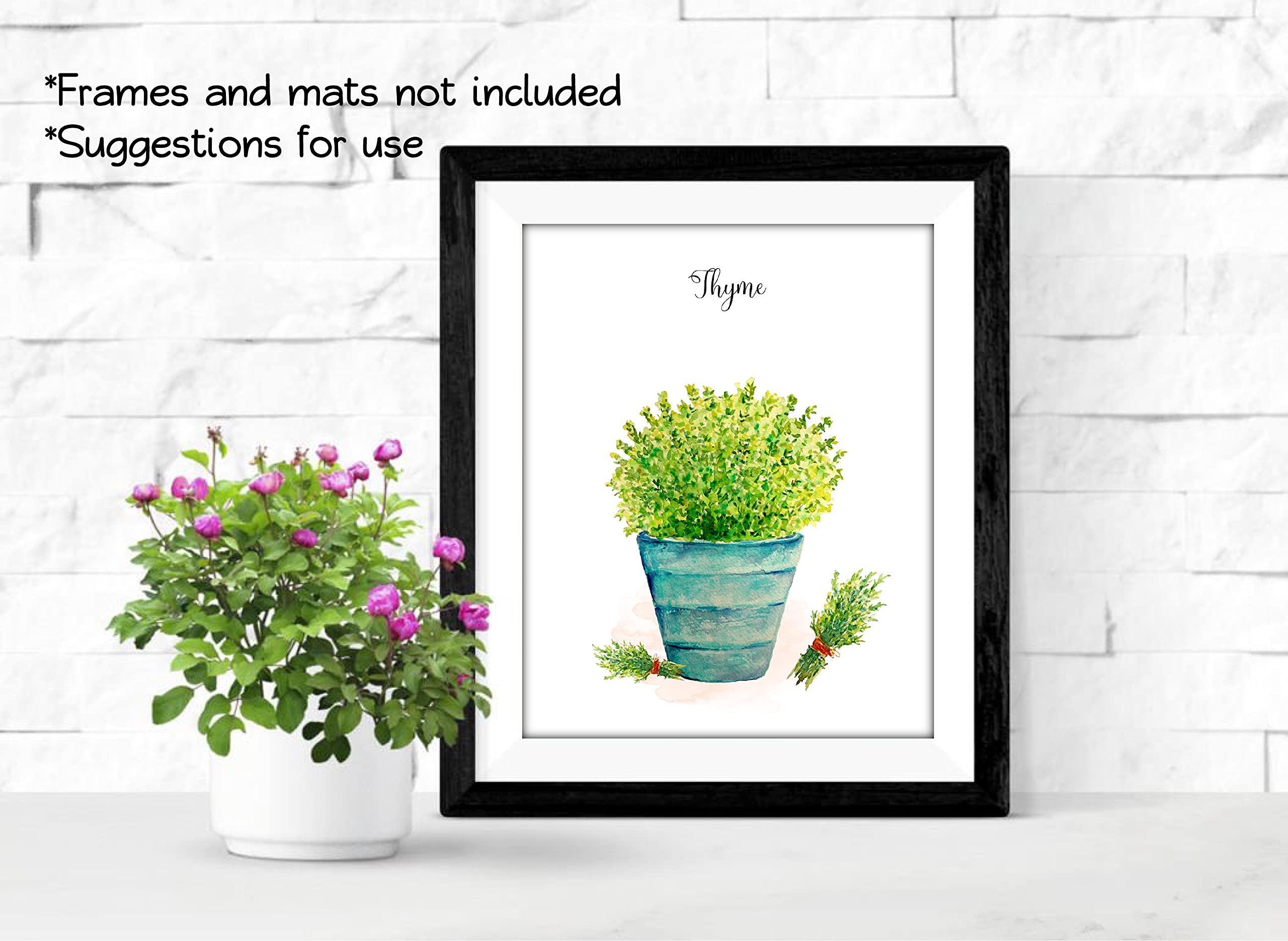 Farmhouse Kitchen Wall Art - Set of 7 Herb Prints in Pots, 8x10 Unframed Botanical Prints for Home Decor | Perfect for Country Style Kitchens, Dining Rooms & Cottage Interiors