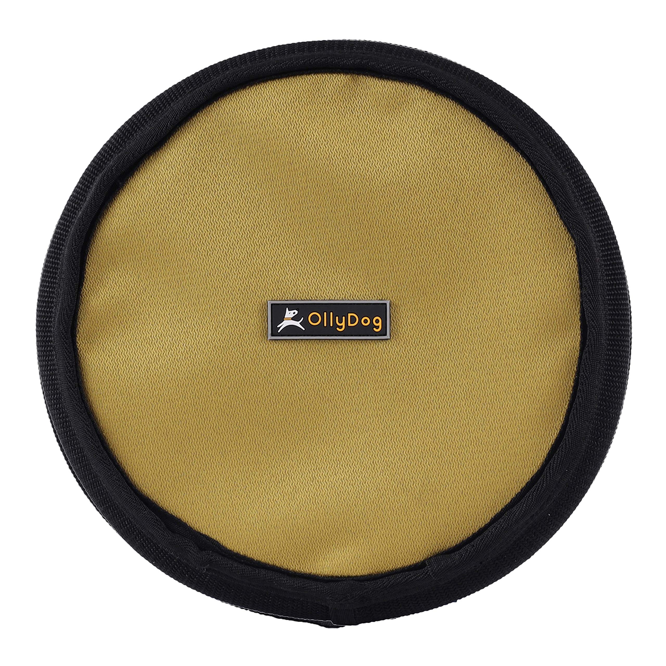 OllyDog Flyer Disc - Lightweight Floating Dog Frisbee for Interactive Play, Gentle on Teeth & Gums - Perfect for Beach, Park & Backyard Fetch Games (Amber Green)