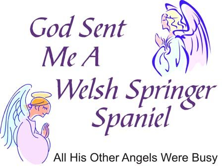 God Sent Me A Welsh Springer Spaniel All His Other Angels Were Busy Funny Dog Lover T-Shirt - Cute Spaniel Graphic Tee for Dog Owners & Pet Lovers - Perfect Gift for Birthday, Christmas & Dog Adoption Day