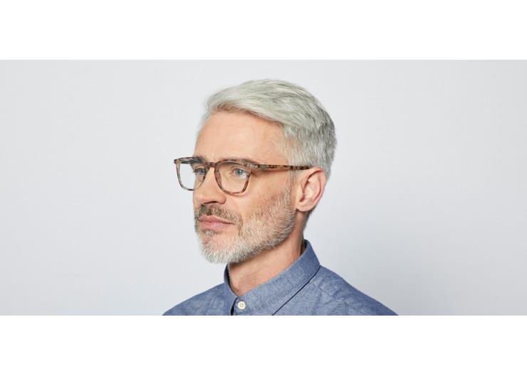 Blue Tortoise E-Reading Glasses - Lightweight & Anti-Blue Light for Digital Screen Use - Perfect for Reading, Working & Gaming on Phones, Tablets & Computers