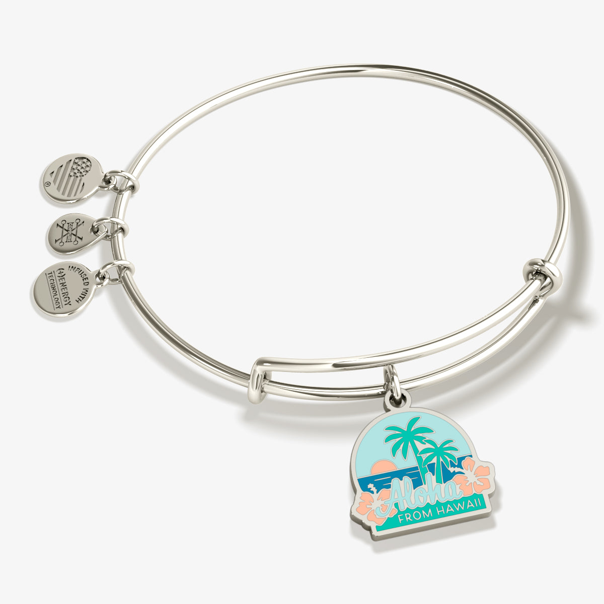 Aloha Hawaii Charm Bangle Bracelet for Women - Hawaiian Island Jewelry with Tropical Flower & Shell Charms - Perfect for Beach Vacations, Luau Parties & Summer Fashion