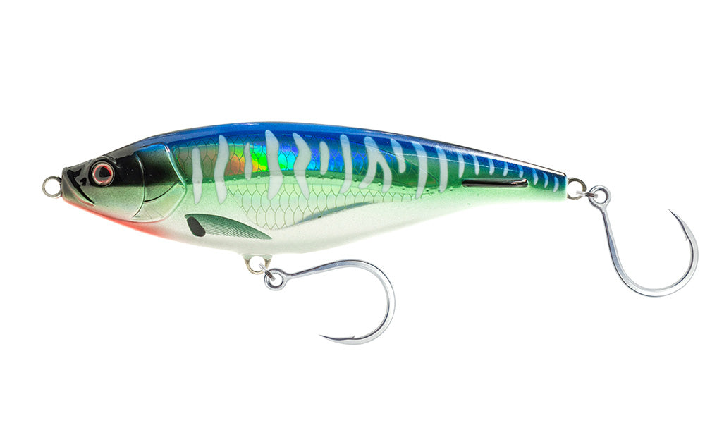 Chartreuse Orange Mackerel