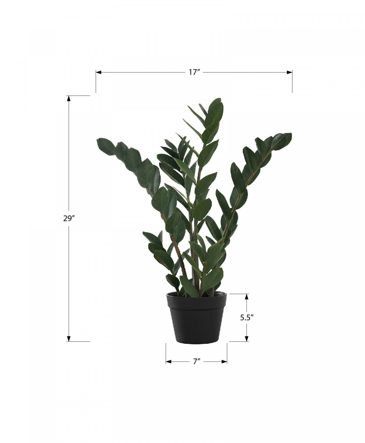 29 Inch ZZ Plant with 6 Inch Black Pot - Low Maintenance Indoor Houseplant for Home, Office, or Garden Decor