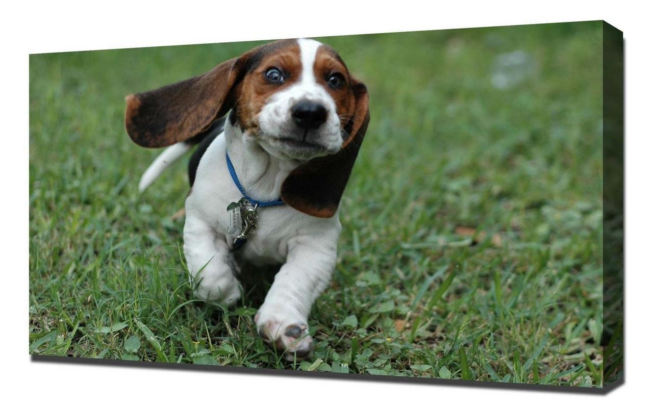 Basset Hound Canvas Art Print - Handmade Dog Wall Decor - Stretched Canvas Wrap for Living Room, Bedroom & Office
