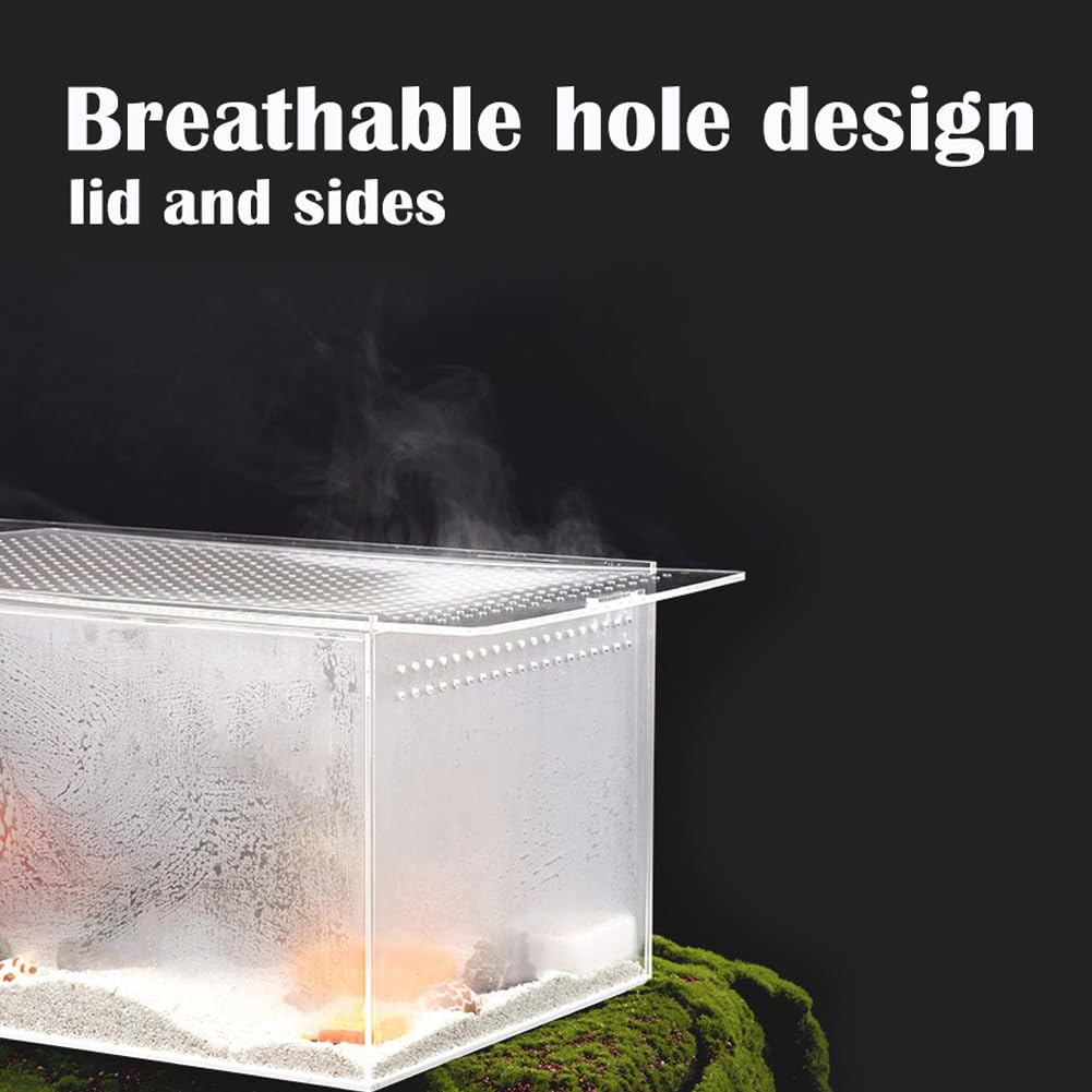 8x4x4 Inch Small Acrylic Tarantula Enclosure with Magnetic Lock - Thickened Terrarium for Isopods, Spiders, Reptiles & Lizards | Perfect for Juvenile Tarantula Habitat & Pet Display