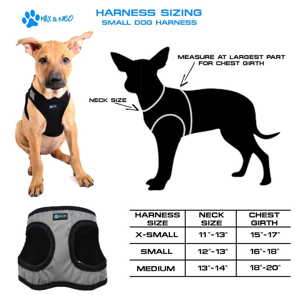 Max and Neo Nanu Small Dog Reflective Harness - Teal Color, Adjustable & Breathable for Small Breeds (Donates to Dog Rescue) - Perfect for Night Walks, Jogging & Outdoor Adventures