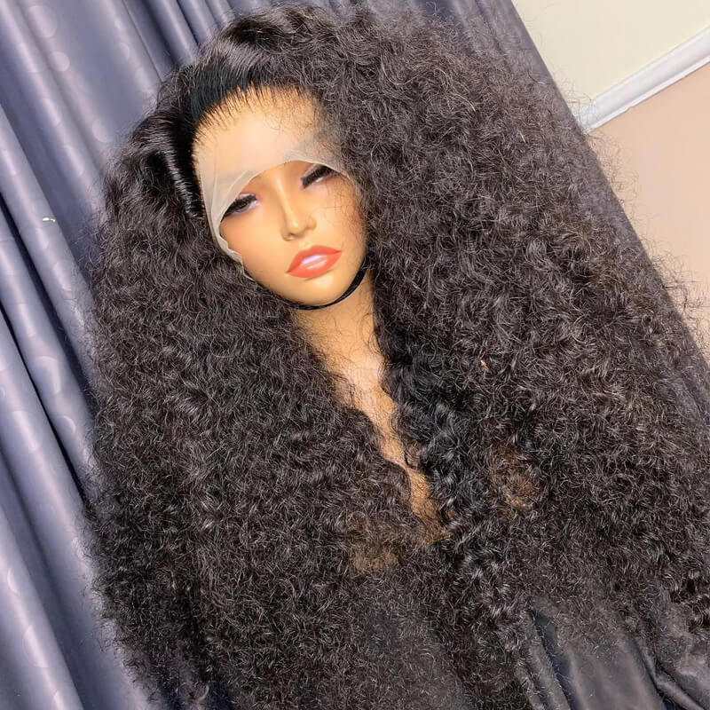 Eullair Voluminous Sleek Tangle-Free Kinky Curly Lace Frontal Wig | Invisible Lace Human Hair Wig for Black Women | Perfect for Daily Wear, Parties & Special Occasions
