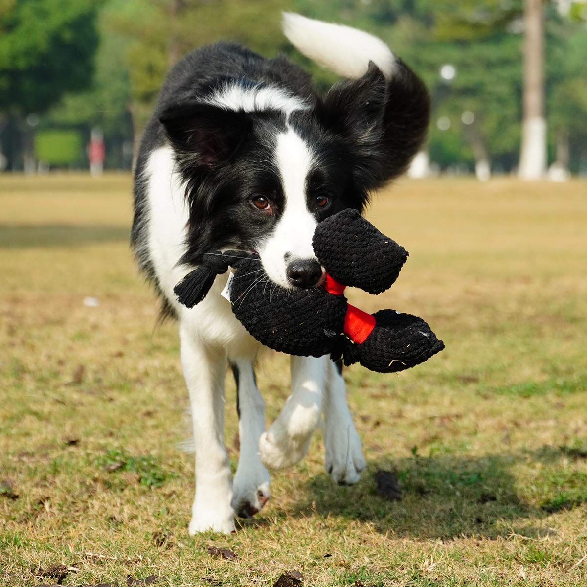 Soft Plush Squeaky Dog Toys - Interactive Chew Toys for Puppies, Small, Medium & Large Dogs | Natural Material for Teeth Cleaning & Anxiety Relief | Perfect for Playtime, Training & Crate Comfort