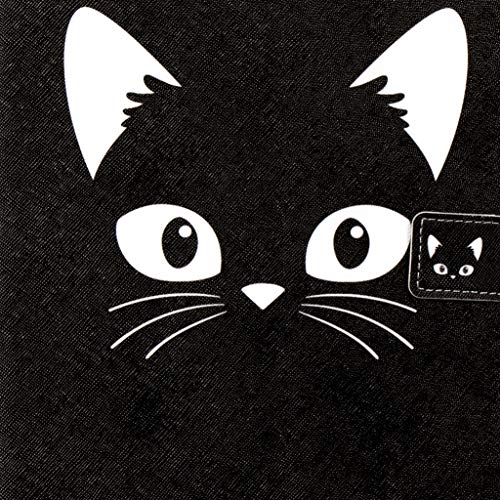 08 Black Cat