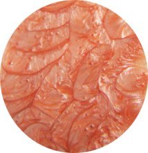 Apricot