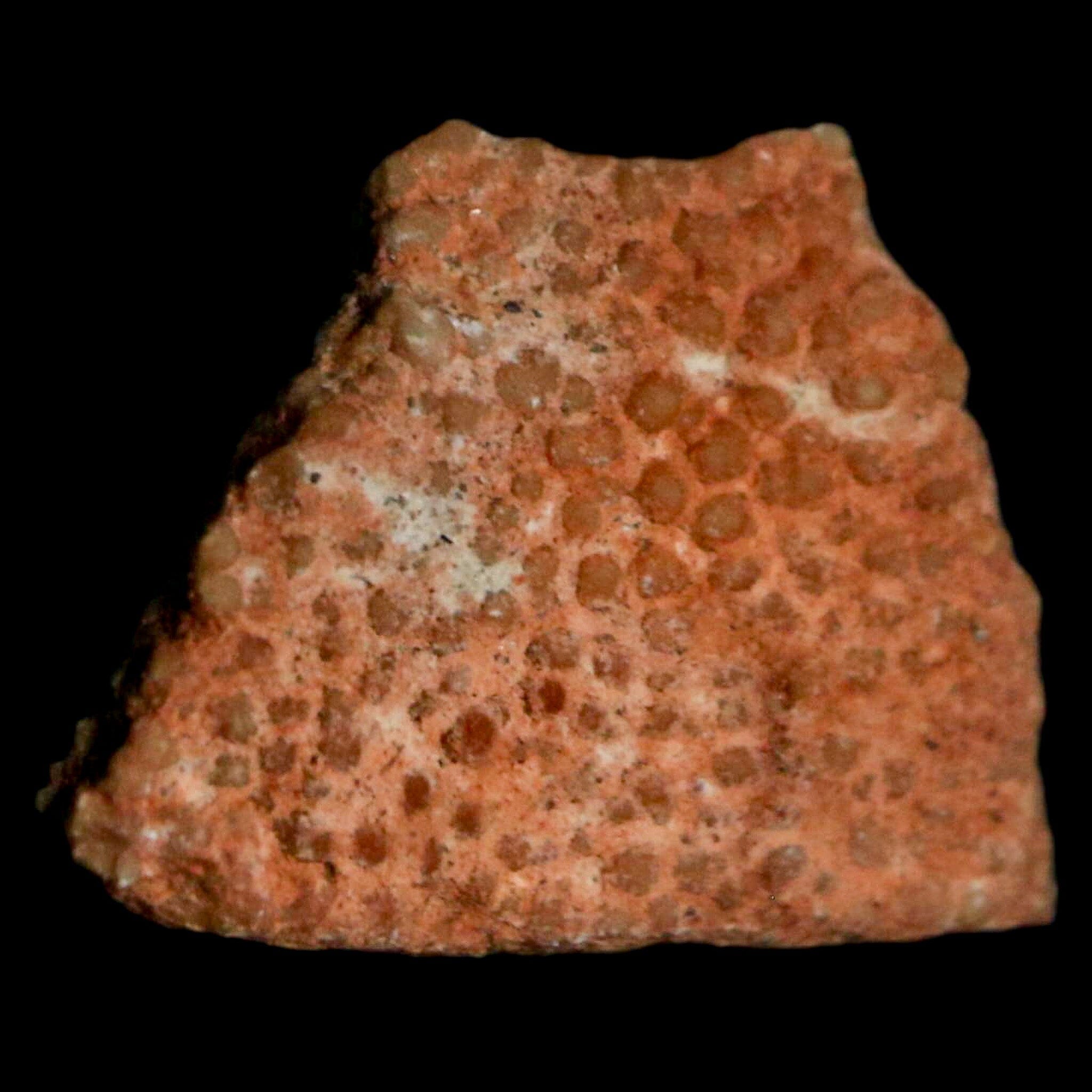 0.5 Megaloolithus Titanosaur Dinosaur Fossil Egg Shell from Bouches-du-Rhône, France - Rare Collectible Display Piece for Paleontology Enthusiasts & Museum-Quality Home Decor