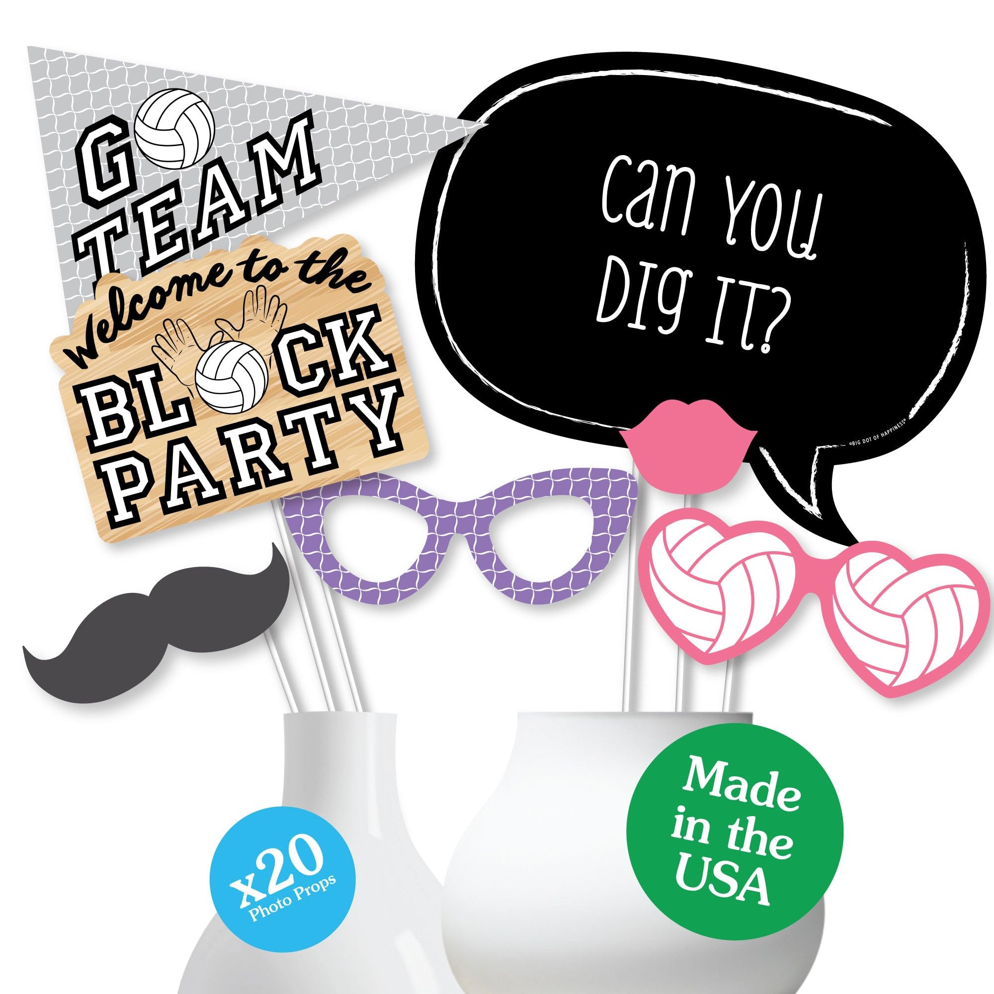 Big Dot of Happiness Volleyball Party Decorations - 20-Piece Photo Booth Props Kit for Sports Themed Parties, Team Celebrations & Game Day Events
