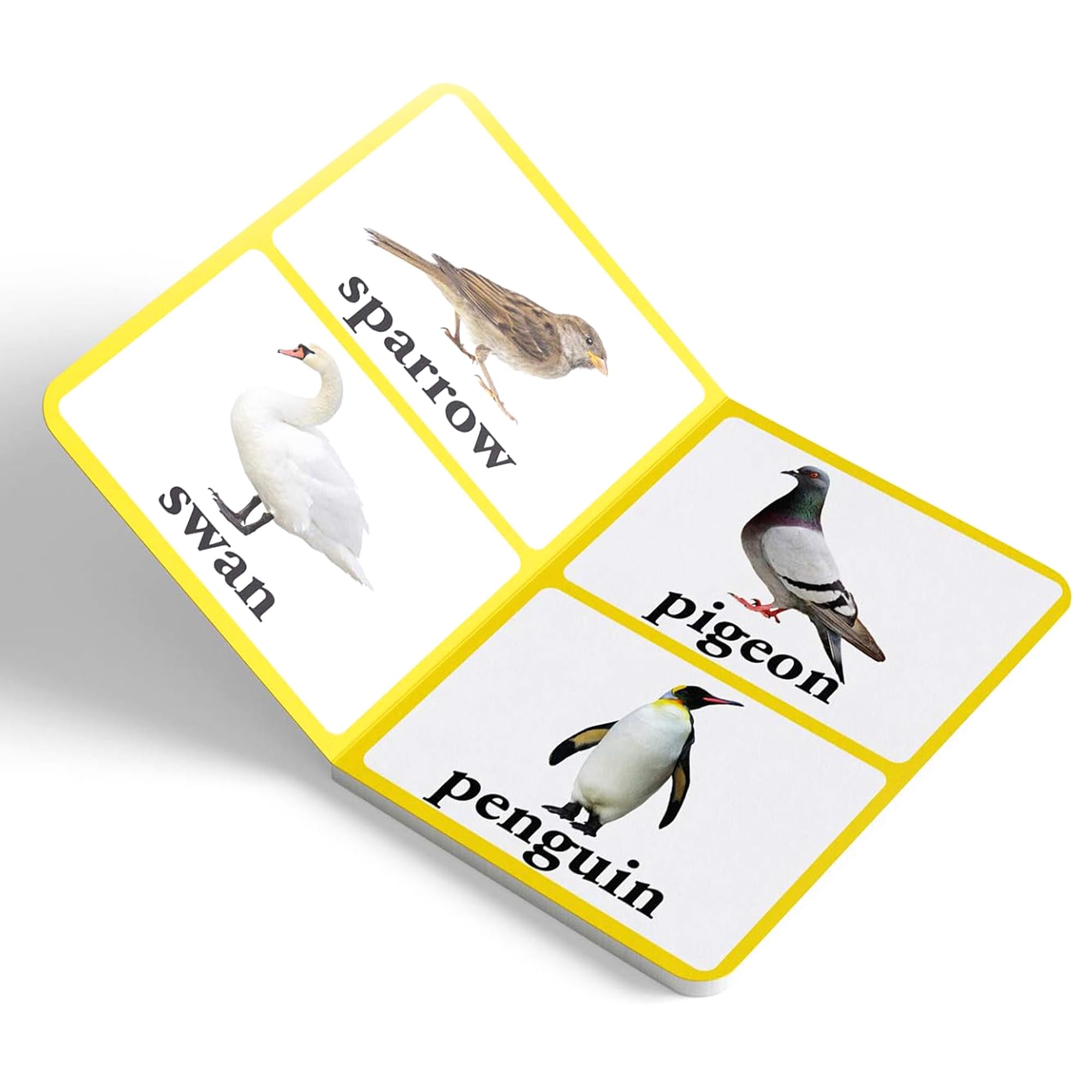 Birds - Big Board Books for Toddlers & Babies | Durable Early Learning Picture Book for Kids | Perfect for Storytime, Gifts & Preschool Education